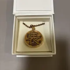HYDE 苗場 ROENTGEN NIGHT 非売品 ネックレス レントゲン - メルカリ