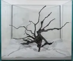 あば蔵様 リクエスト 3点 まとめ商品