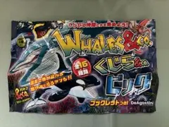 クジラ&Co ビッグ　セミクジラ トイザらス限定スーパーレア（開封品）