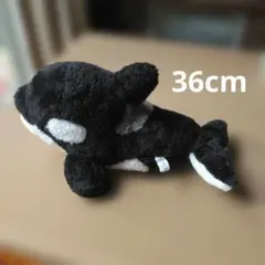 鴨川シーワールド シャチ ぬいぐるみ　全長36cm