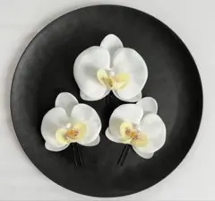 Item thumbnail for item 4dabdb0d-2327-406a-9cd5-62ed623b78fb