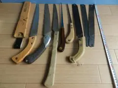 Item thumbnail for item 01de0221-0cdb-494c-8a31-007bf49dad52