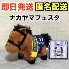 サラブレッドコレクション　OKぬいぐるみ6　ナカヤマフェスタ　第51回 宝塚記念 サラブレッドコレクション ナカヤマフェスタ 第51回宝塚記念 - メルカリ