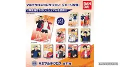 【西谷夕】　マルチクロス　ジャージ交換