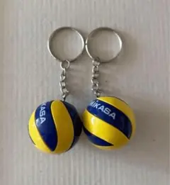 バレーボールキーホルダー　同種2個セット