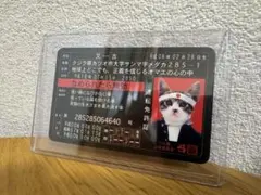 【非売品・希少】なめ猫 免許証 カード コロコロコミック付録 又吉