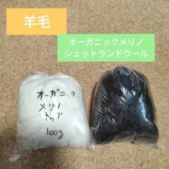 オーガニックメリノウール 　シェットランド　100g×2色セット