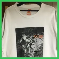 POLeR／ポーラー✴️ロングTシャツ　アウトドア　キャンプ　CampVIBESのサムネイル