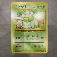【美品】ポケモンカード 旧裏 フシギダネ 第1弾拡張パック