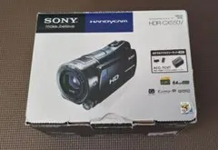 2026年最新】SONY HDR-CX550Vの人気アイテム - メルカリ