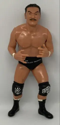 ベイダー　フィギュア　WWE ビッグバンベイダー　新日本プロレス　レオンホワイト ビッグバン・ベイダー》 プロレス フィギュア - メルカリ