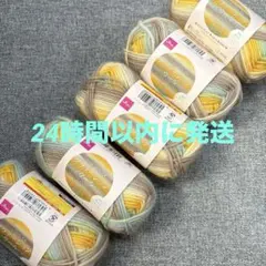 【新品】毛糸 グラデーションウール ダイソー 5玉セット ウォーターリリー
