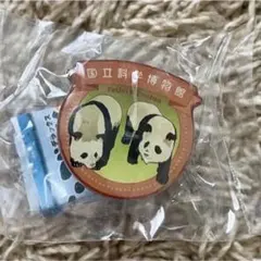 Item thumbnail for item c10c82cb-0fcc-4947-b966-e0f50d3174a6