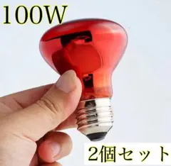 [히트 글로우] 100W 양서류 파충류 소동물 적외선 조사 써멀 볼 세트