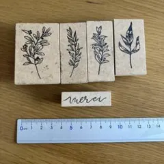 植物　モチーフ　リーフ　Merci