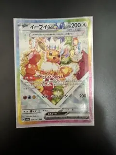 イーブイex SAR SV8a テラスタルフェスex 224/187