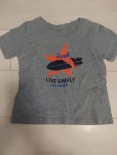 Patagonia　ハワイ限定　HaleiwaTシャツ　2t