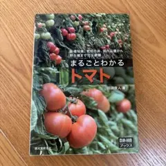 2026年最新】トマト大事典の人気アイテム - メルカリ