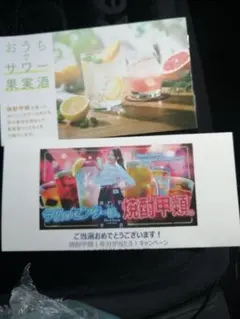 Item thumbnail for item 6afa762f-cdbf-4a76-ac86-d7d09141fc23