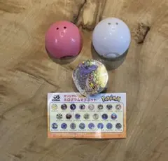 ポケモン ホログラムマグネット タケルライコ