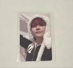 &TEAM NICHOLAS ニコラス 雪明かり ふわふわアニマルトレカ