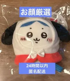 ちいかわ　サンリオキャラクターズ ぷちミニマスコット　ハチワレ・ポチャッコ