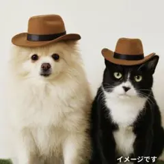 ペット用　帽子　カウボーイ　犬　猫　ハロウィン　ウェスタンハット　撮影小物