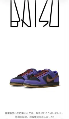 nikeダンクロー 26