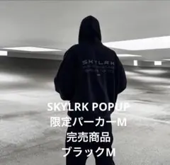 Item thumbnail for item 23d332f6-d8bb-46c5-a4f6-ef45cde103b9