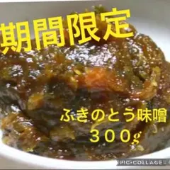 期間限定 京都産ふきのとう味噌 300gのサムネイル