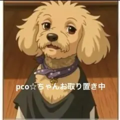pco☆ちゃんご専用