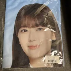乃木坂46 岩本蓮加 個別ブランケット My respect