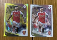 Item thumbnail for item 48ad786d-1dbd-44ed-b47f-410d2dc74c63