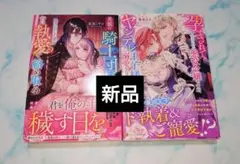 美貌の騎士団長は逃げ出した妻を　孕まされて捨てられた悪役令嬢ですが　TL　新品