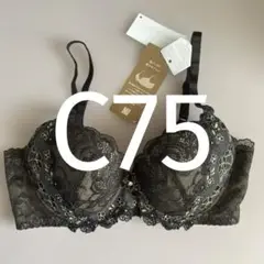 C75 ウイング/ワコール　レシアージュ　ブラジャー PB2921