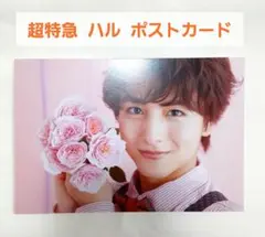 超特急 ハル ポストカード 1枚
