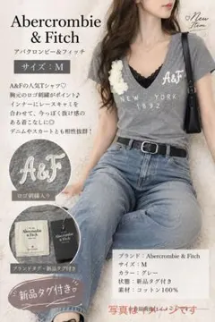 新品タグ付 アバクロ A&F VネックTシャツ 花刺繍 グレー MY2K