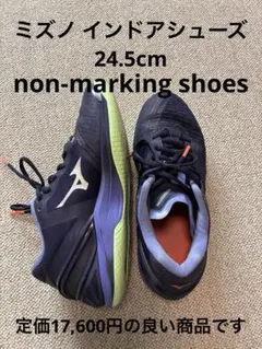 ミズノ24.5cmノンマーキングシューズのサムネイル