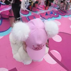 パルパルーザ ミニー ファンダーランド　ディズニーランド