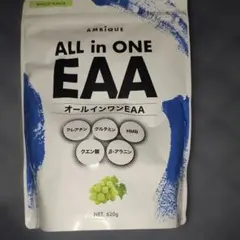 アンビーク　オールインワンEAA マスカット味　620g