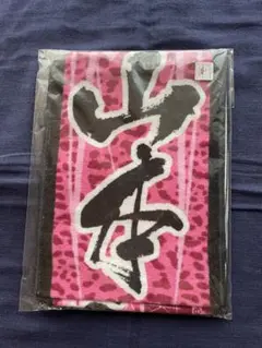 専用出品➡️元NMB48 山本彩 推しマフラータオル 使用品 2025年最新】NMB タオル 山本彩の人気アイテム - メルカリ