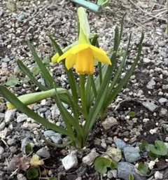 みゆさん様 リクエスト 4点 まとめ商品