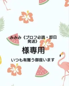 2025年最新】プロフ必読様専用の人気アイテム - メルカリ