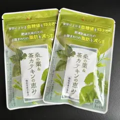 漢方セレクト 桑の葉&茶カテキンの恵み 120粒×2袋セット - メルカリ