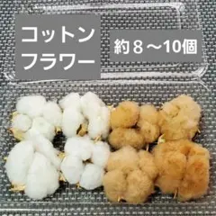 Item thumbnail for item 5167b307-755b-43d5-915f-8fbeea9aca49