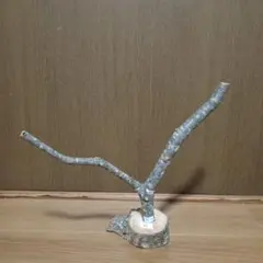 Item thumbnail for item e28825f1-9002-4f04-a232-4c9e1ca9a444