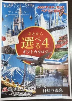 東京 ディズニーランド or ディズニーシー ペアチケット 交換ハガキ