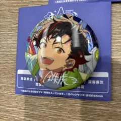 46 南雲鉄虎 缶バッジ 缶バッチ