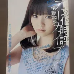 宇野常寛 文化時評アーカイブス ダ・ヴィンチ×PLANETS 2012―2013