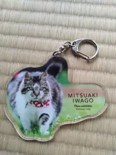 岩合光昭 写真展 アクリルキーホルダー 猫